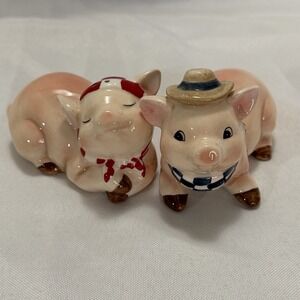 Appletree Design Ceramic Pig Salt & Pepper Shakers Pair Farmhouse Kitchen Decor